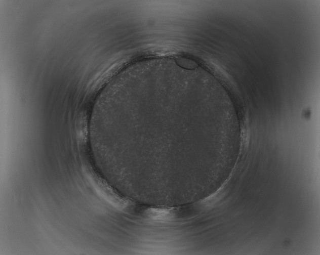 X0000116760170201001071203