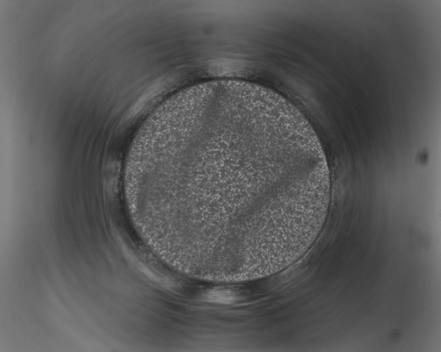 X0000116760171201001071203