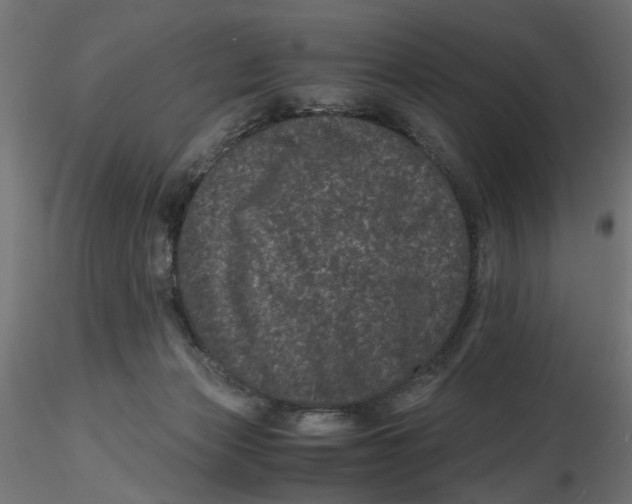 X0000116760173201001071203