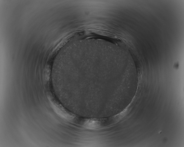 X0000116760174201001071203