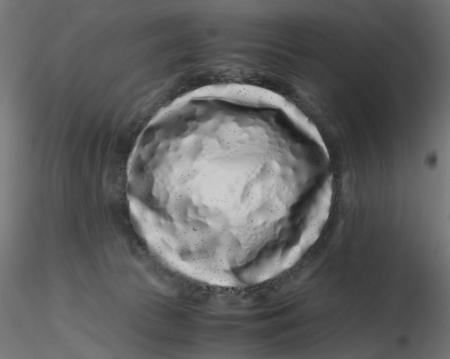 X0000116760177201001071203