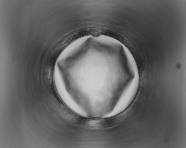 X0000116760178201001071203