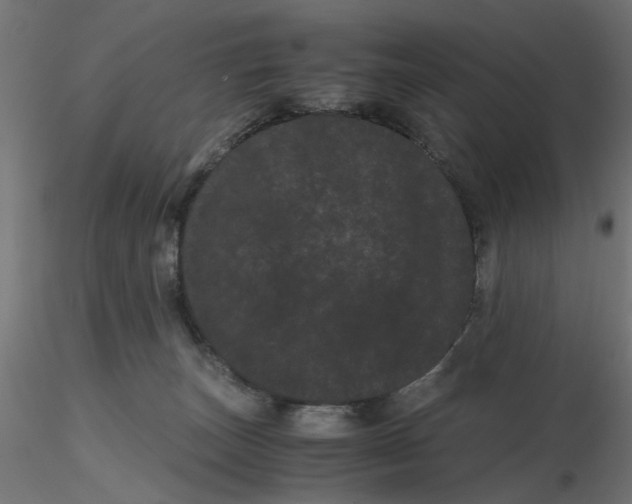 X0000116760179201001071203