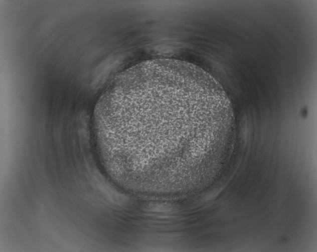 X0000116760181201001071203