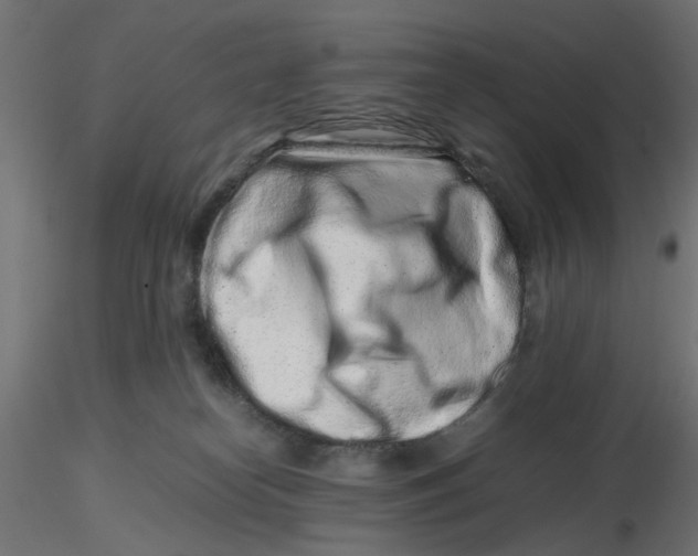 X0000116760182201001071203