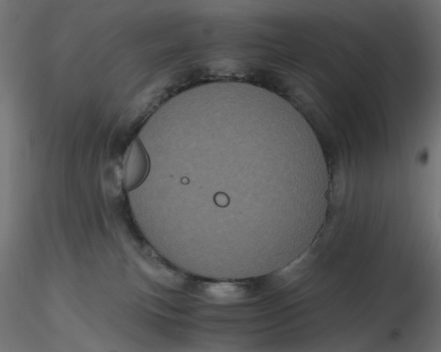 X0000116760183201001071203