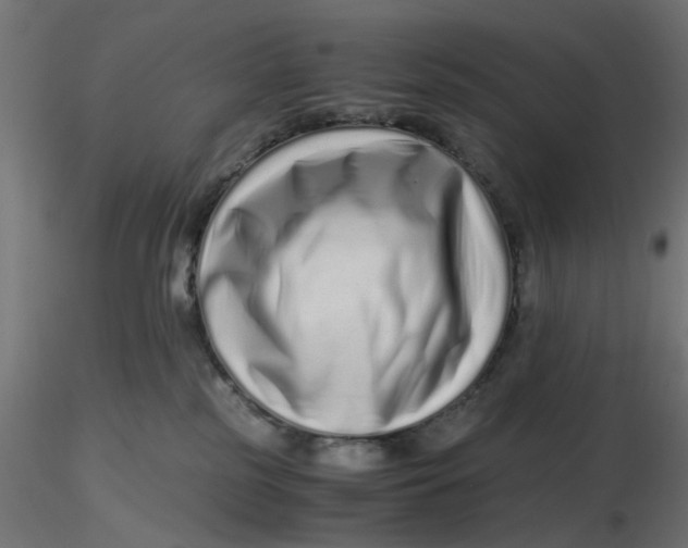 X0000116760185201001071203