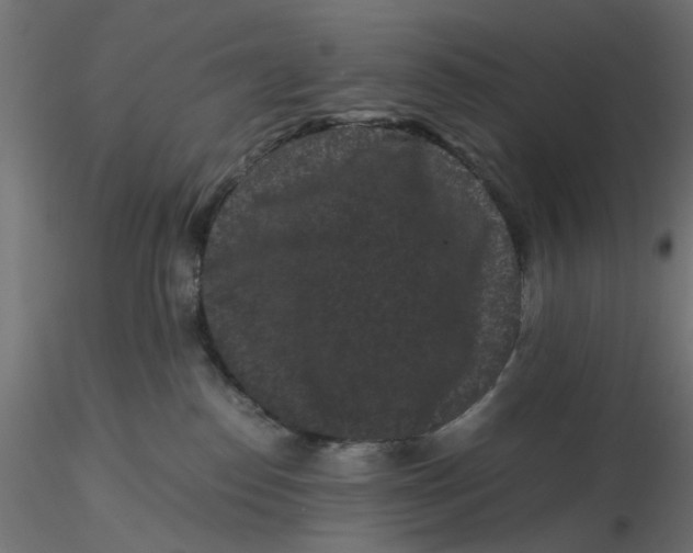 X0000116760186201001071203