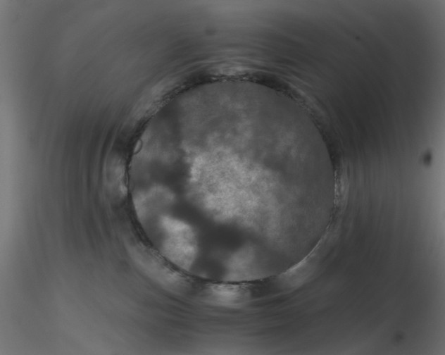 X0000116760187201001071203