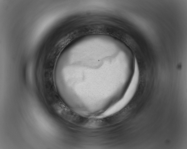 X0000116760189201001071203