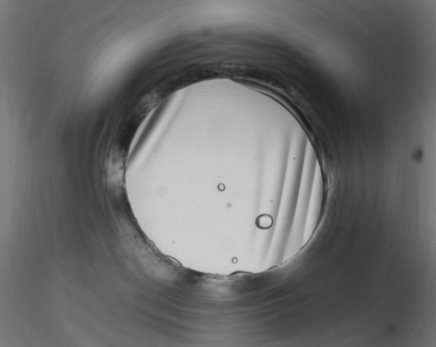 X0000116760190201001071203