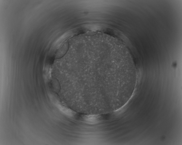 X0000116760191201001071203