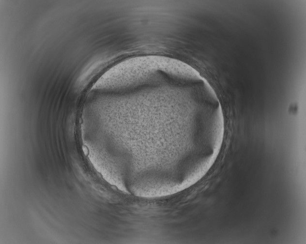 X0000116760194201001071202