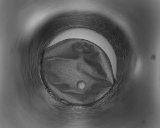 X0000116760195201001071202