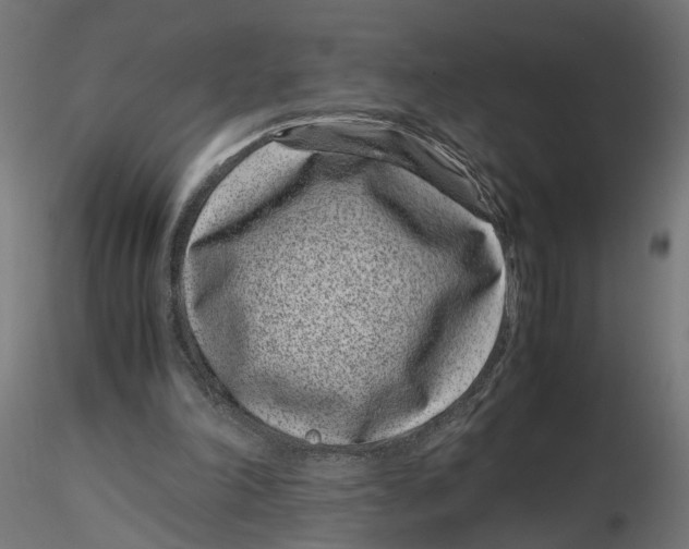 X0000116760198201001071202