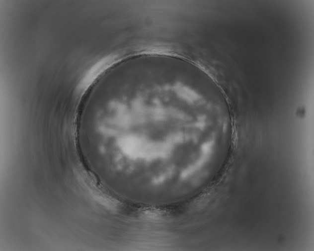 X0000116760199201001071202