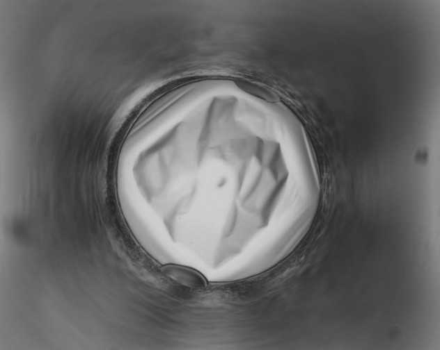 X0000116760200201001071202