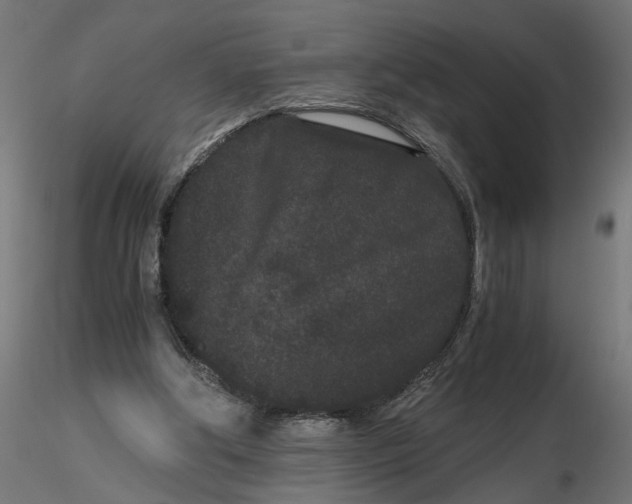 X0000116760202201001071202