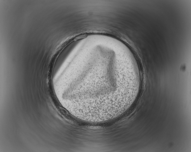 X0000116760203201001071202