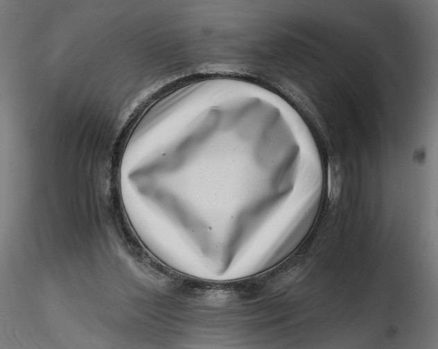 X0000116760204201001071202