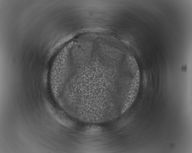 X0000116760206201001071202