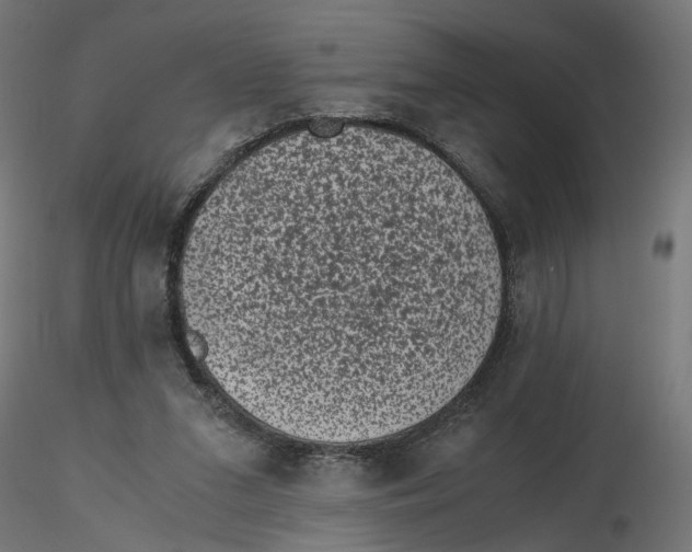 X0000116760207201001071202