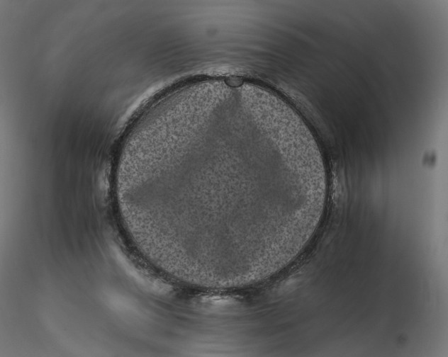 X0000116760208201001071202