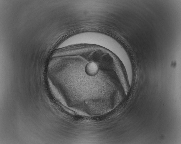 X0000116760209201001071202