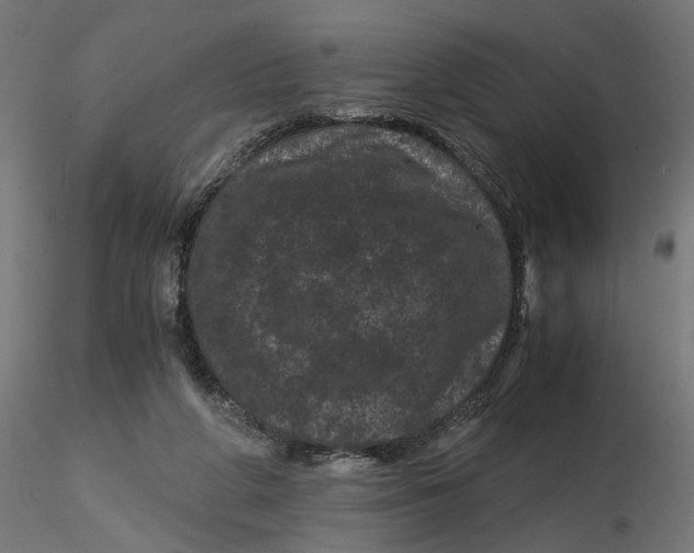 X0000116760210201001071202