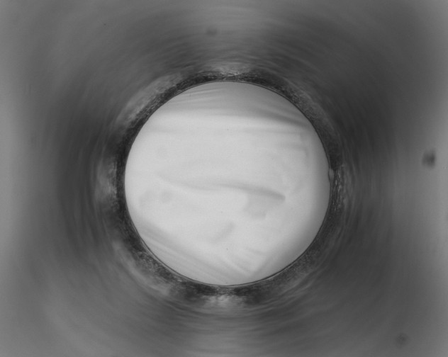 X0000116760212201001071202