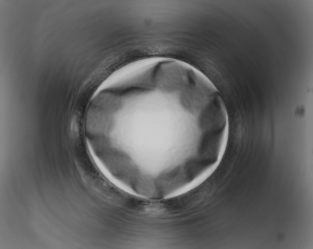 X0000116760214201001071202