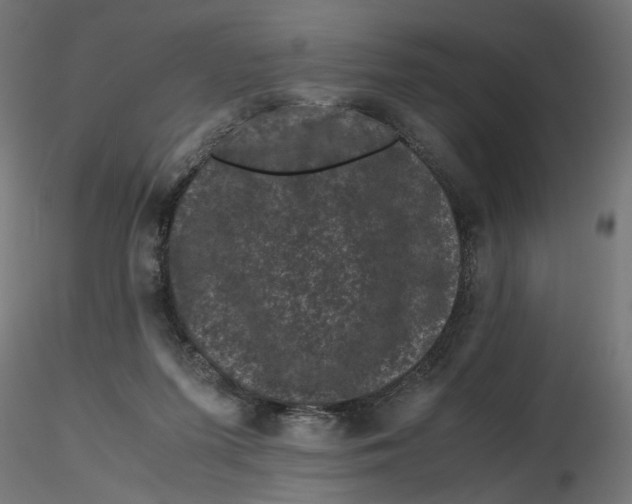 X0000116760215201001071202