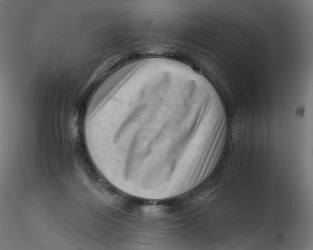 X0000116760216201001071202