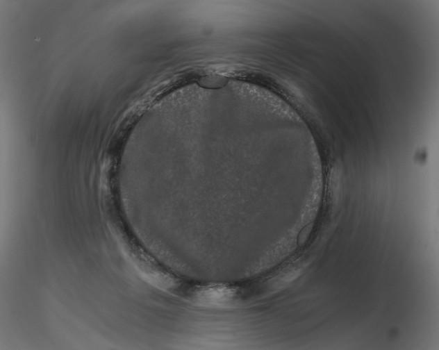 X0000116760217201001071202