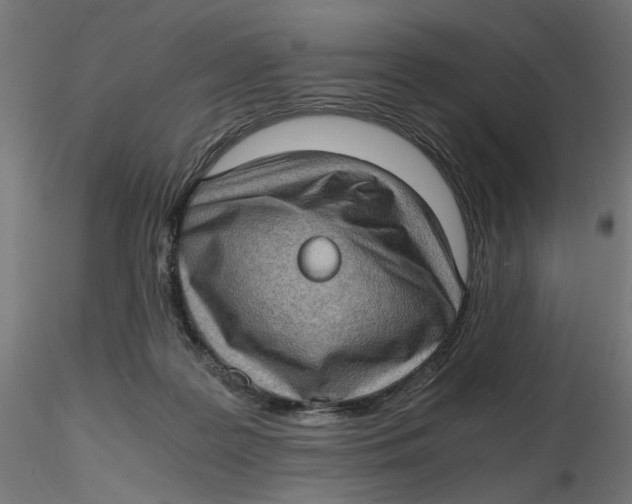 X0000116760219201001071202