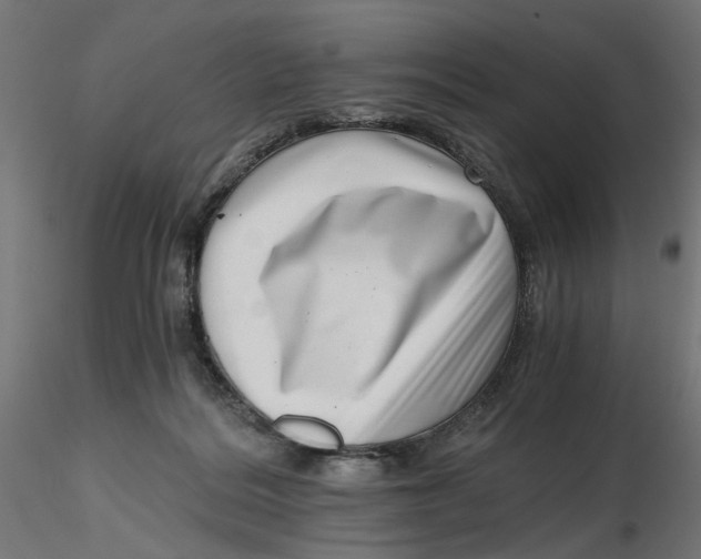 X0000116760220201001071202