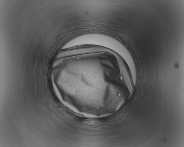 X0000116760221201001071202