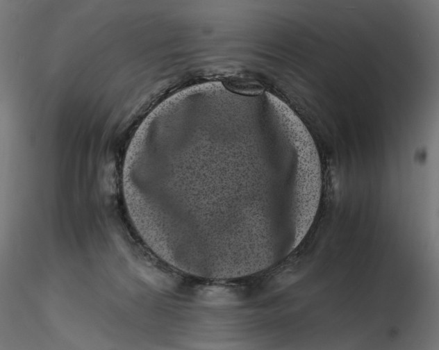 X0000116760224201001071202