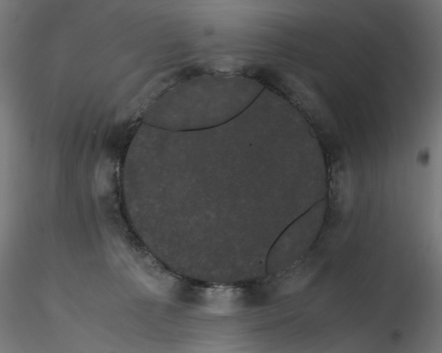 X0000116760225201001071202