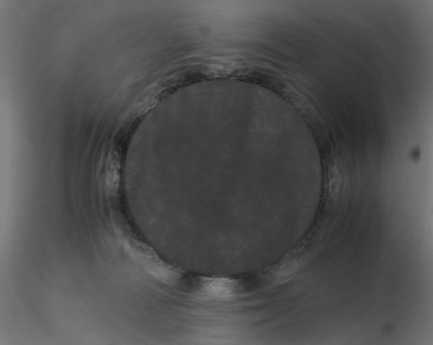 X0000116760226201001071202