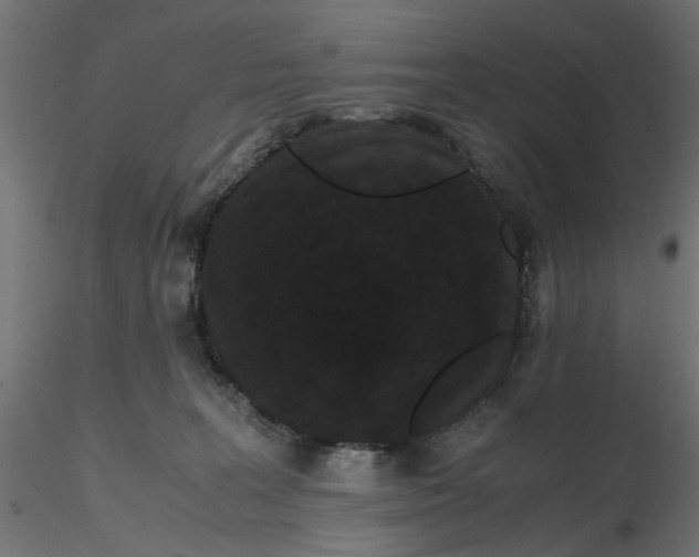 X0000116760227201001071202