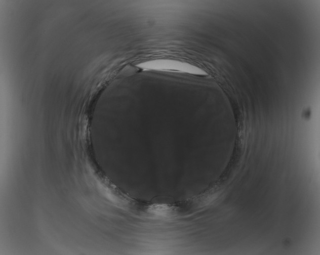 X0000116760231201001071202