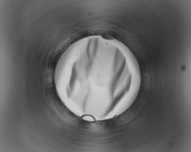 X0000116760232201001071202