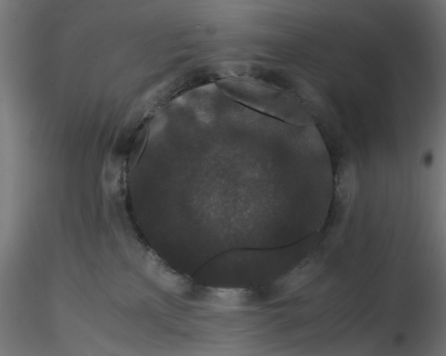 X0000116760233201001071202