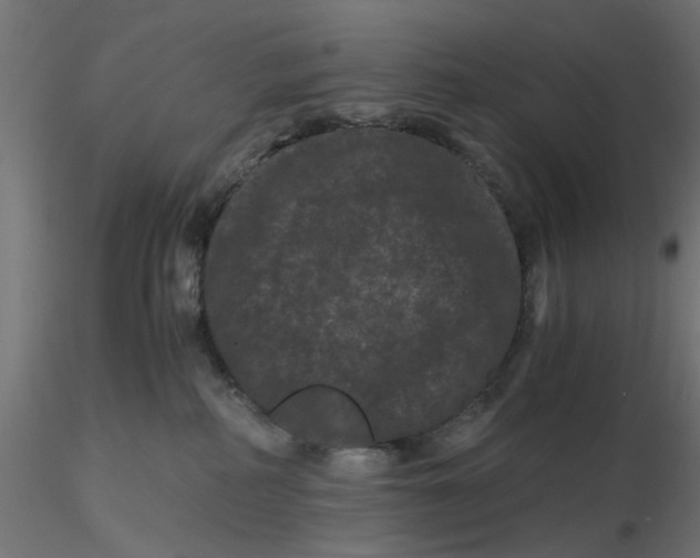 X0000116760234201001071202