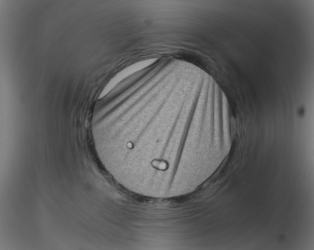 X0000116760235201001071202