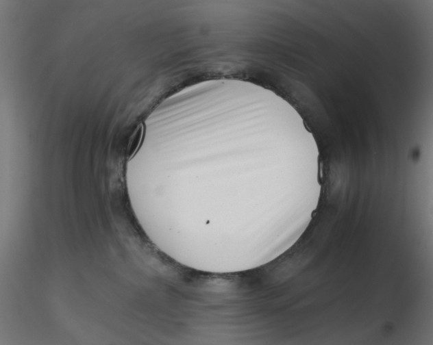 X0000116760236201001071202