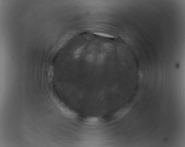 X0000116760237201001071202