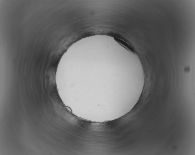 X0000116760240201001071202