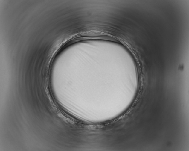 X0000116760241201001071201